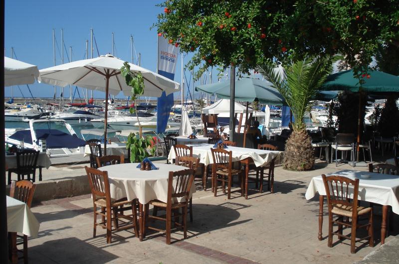 Harbour Resturants 800x531